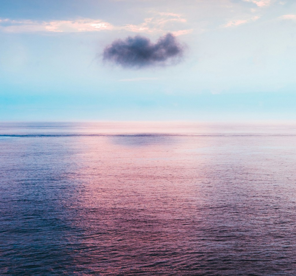 From Safe Harbour to Open&nbsp;Waters